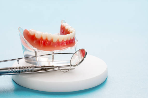 Trusted Rendon, TX Holistic Dental Care Services Experts